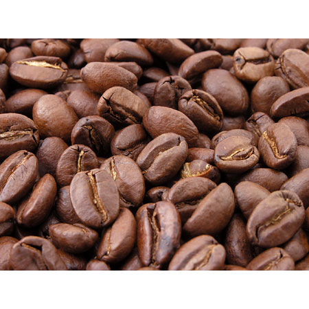 Brazilian Santos - Medium Dark Roast Coffee
