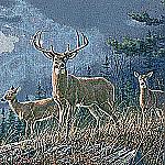 Autumn Whitetails Deer Pillow