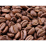 Brazilian Santos - Medium Dark Roast Coffee